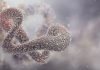 How next-generation proteomics is decoding the language of life