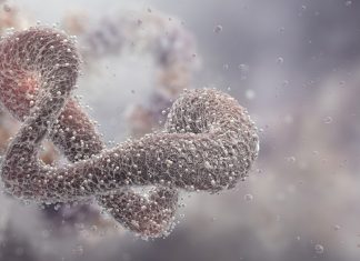 How next-generation proteomics is decoding the language of life