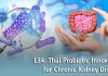 “Lactobacillus Rhamnosus L34”: A Native Probiotic That Reduces Inflammation in Patients with Chronic Kidney Disease