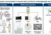 Microplastics in Human Bile Drive Mitochondrial Dysfunction and Senescence