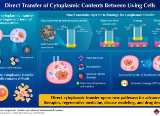 Nanotube Injector Boosts Mitochondrial Performance Through Cytoplasmic Transfer
