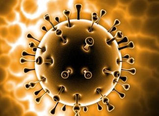 NTU Singapore and partners develop new inhaled treatment for severe lung infections