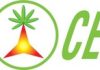 Published Clinical Study Illustrates Benefits of Promentum® Recover as Low-Dose Solution for Post Exercise Recovery