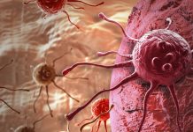 Researchers use tiny glass capillaries to sample living cancer cell parts