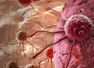 Researchers use tiny glass capillaries to sample living cancer cell parts