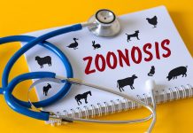 Scientists map 239 human-infective RNA viruses to track future outbreak risks