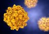 Approaches to Reducing Toxicity and Side Effects in Cell and Gene Therapy