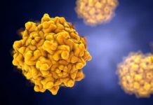 Approaches to Reducing Toxicity and Side Effects in Cell and Gene Therapy
