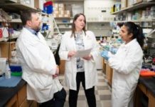 Blood Stem Cells Evade Immune Attack in Aplastic Anemia Through Gene Mutations