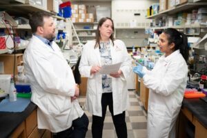 Blood Stem Cells Evade Immune Attack in Aplastic Anemia Through Gene Mutations