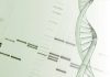 Building large DNA pieces to create custom microbes