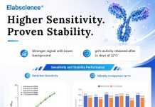 Elabscience® Launches Self-Developed PolyHRP-Streptavidin Conjugate for Low-Abundance Biomarker Detection in ELISA