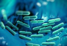 Gut microbiota may determine severity of life-threatening sepsis infections