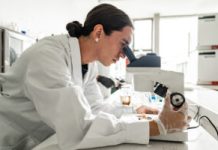 Human Gut Organoids with Functional Nerves Developed that Can Be Mass Produced