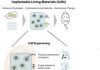 Implantable Living Materials Contain Infection-Sensing Bacteria That Release Therapeutics