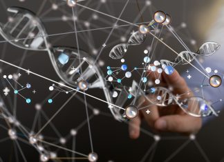New AI model detects hidden antibiotic resistance genes beyond standard databases