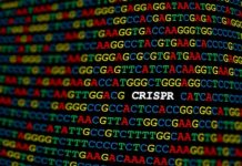 New CRISPR breakthrough promises more affordable disease diagnostics