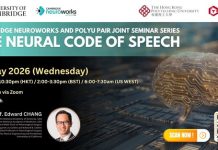 PAIR and Cambridge NeuroWorks launch new online neuroscience seminar series in May 2026
