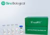 Sino Biological Launches XPressMAX™ Cell-Free Protein Synthesis Kit, Accelerating AI-Powered High-Throughput Antibody Drug Discovery