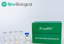 Sino Biological Launches XPressMAX™ Cell-Free Protein Synthesis Kit, Accelerating AI-Powered High-Throughput Antibody Drug Discovery