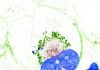 Collagen Resides Inside Cells in Liquid Condensate-Like Form