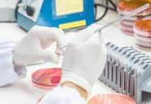 Fighting Antimicrobial Resistance with Biomaterials and Phages