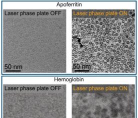 Laser‑Driven Phase Contrast Enhances Cryo‑EM Resolution of Small Proteins