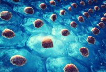 New SMArT platform improves safety of CRISPR gene editing