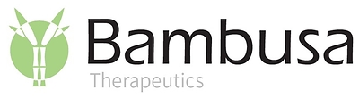 Bambusa Therapeutics Reports Potentially Transformative Preliminary Proof-of-Concept Results for BBT001 in Atopic Dermatitis, Reinforcing Its Best-in-Disease Potential