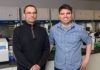Base Editing Strategy Alleviates Huntington’s Disease in Mice