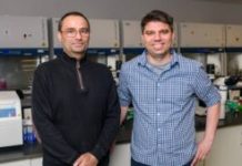 Base Editing Strategy Alleviates Huntington’s Disease in Mice