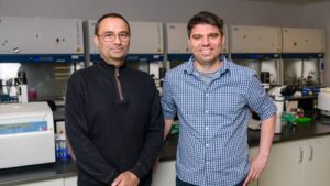 Base Editing Strategy Alleviates Huntington’s Disease in Mice