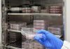 Colorectal Cancer Targeted with Mass-Produced iPSC-Derived Allogeneic T Cells