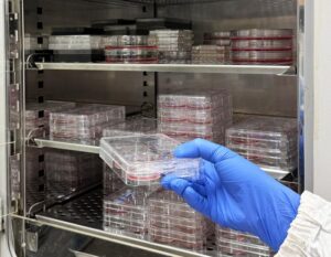 Colorectal Cancer Targeted with Mass-Produced iPSC-Derived Allogeneic T Cells