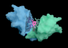 Pharma Races to Scale AI as Billions Flow into Drug Discovery