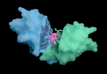 Pharma Races to Scale AI as Billions Flow into Drug Discovery