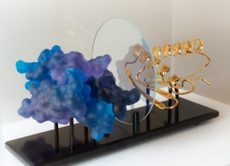 Protein Design’s AI Revolution: Inside David Baker’s “Communal Brain”