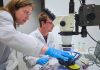 See, Blind Mice: Consortium’s Drugs Restore Sight