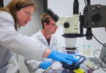 See, Blind Mice: Consortium’s Drugs Restore Sight
