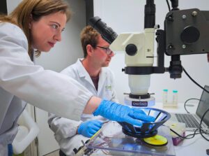 See, Blind Mice: Consortium’s Drugs Restore Sight