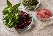 SuanNutra, Parent Company of Monteloeder and a Carbyne Equity Partners Portfolio Company, Expands Product Portfolio with Specialty Natural Ingredients Businesses from IFF