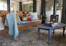 The costly winter pet mistakes Australians are making