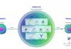 Virtual Cells Go Multiscale to Predict Complex Biology