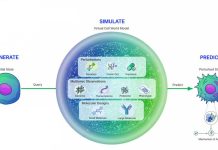 Virtual Cells Go Multiscale to Predict Complex Biology