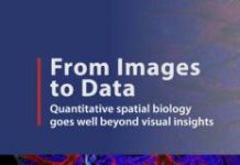 From Images to Data