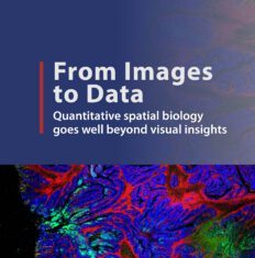 From Images to Data