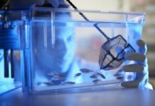 Genetic Findings Provide Insights Into Leading Cause of Back Pain
