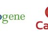 Global genomics and multi-omics leader Novogene to establish its first Australian laboratory at Cabrini Health, accelerating access to precision cancer care