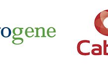 Global genomics and multi-omics leader Novogene to establish its first Australian laboratory at Cabrini Health, accelerating access to precision cancer care
