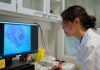 Biomimetic Nanoparticles Trigger Light Responses in Blind Mouse Retinas